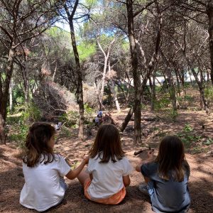 Carnaval 15 a 20 de Fevereiro