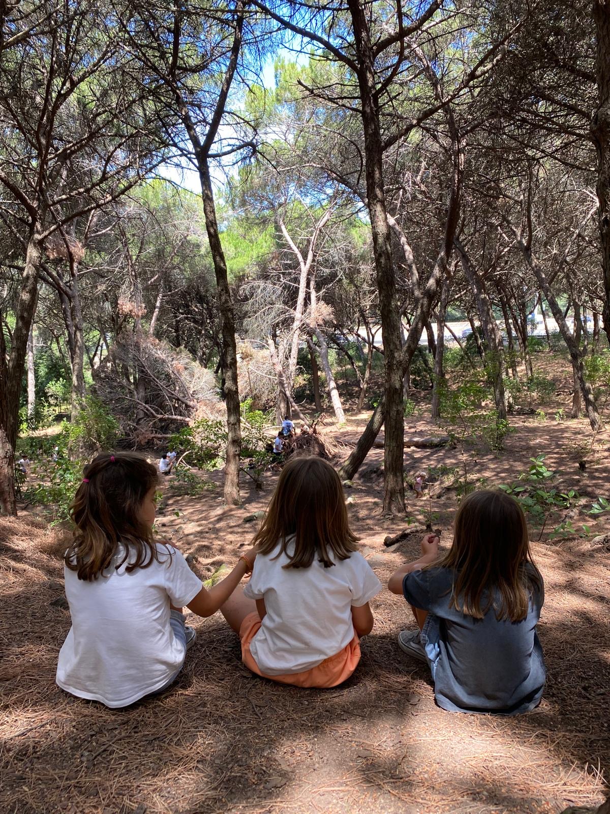 7c4249ba-981a-4faa-a128-9f4a45e5c01e